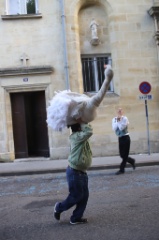 Du vent dans les Plumes 45 * 6240 x 4160 * (7.4MB)